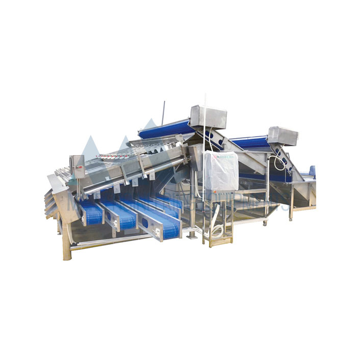 Shrimp Grading Conveyor