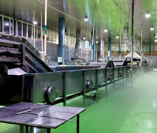 Continues Blanching Machine