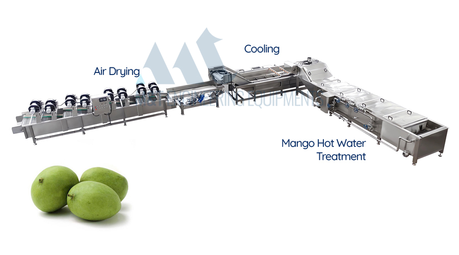 Mango Hot Water Treatment Plant - Continues Type