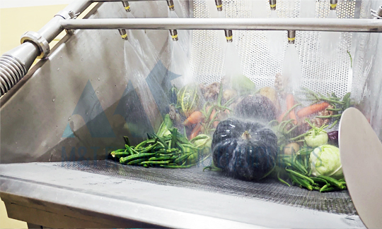 Vegetable Washer - Tilting Basket Model