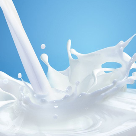 Milk Processing Plant