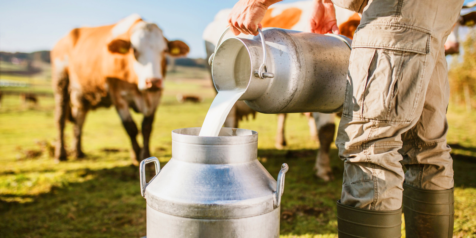 Milk Processing Plant