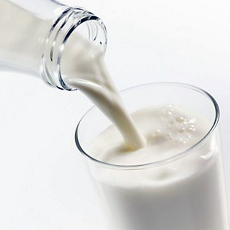 Mini Dairy Plant