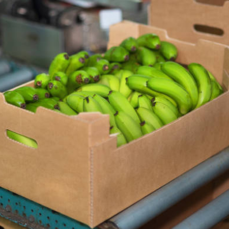 Banana Pack House
