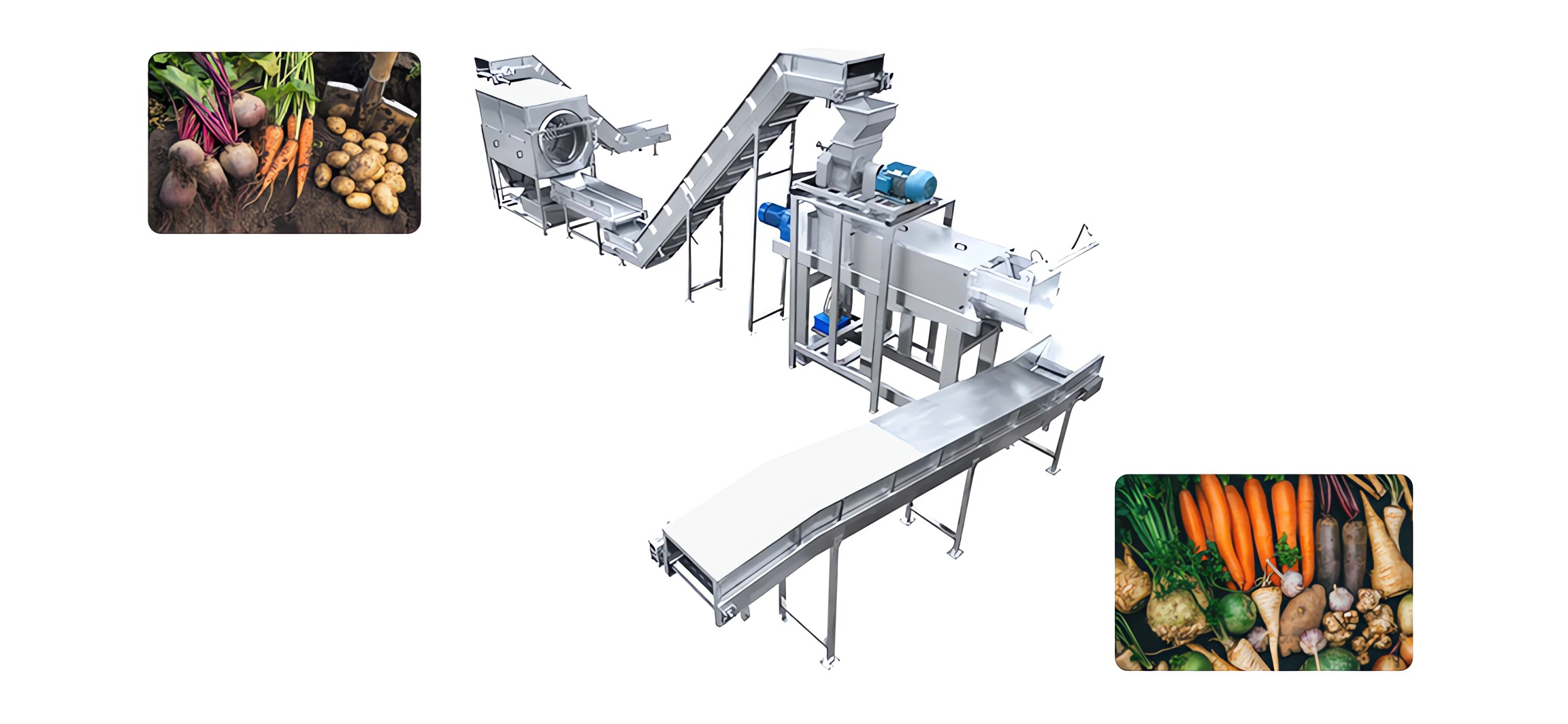 Carrot/Ginger Processing Line