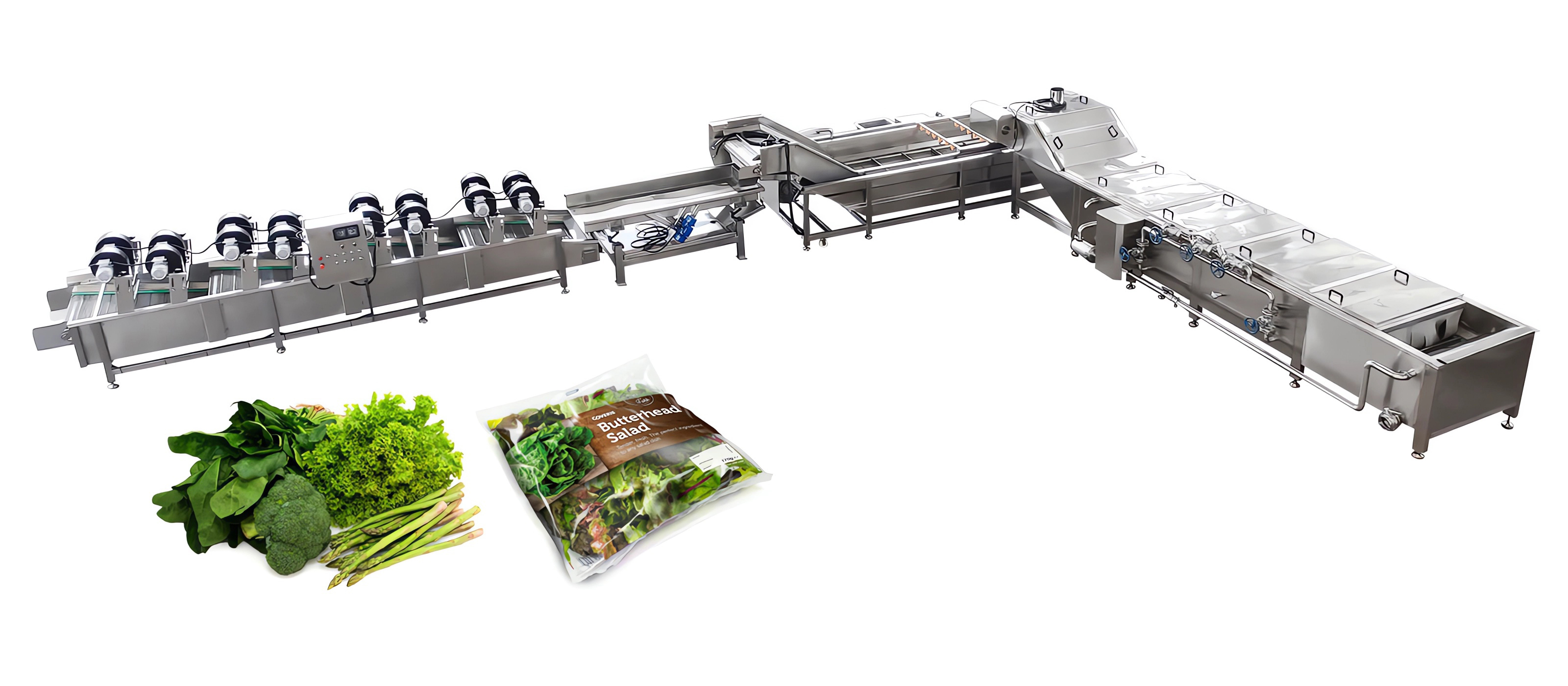 Leafy Vegetable Processing Line
