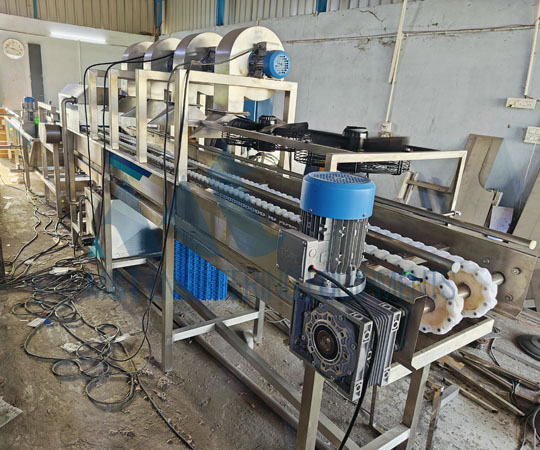 Mango Processing Line