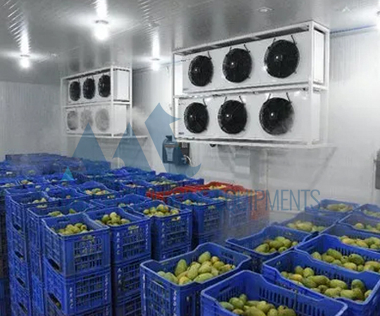 Mango Processing Line