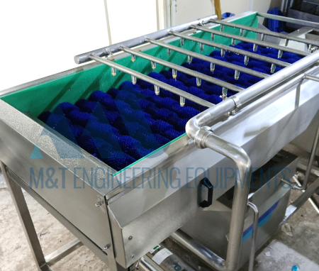 Fruits & Vegetables Processing Line