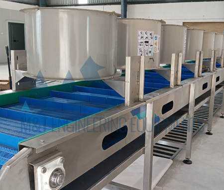 Fruits & Vegetables Processing Line