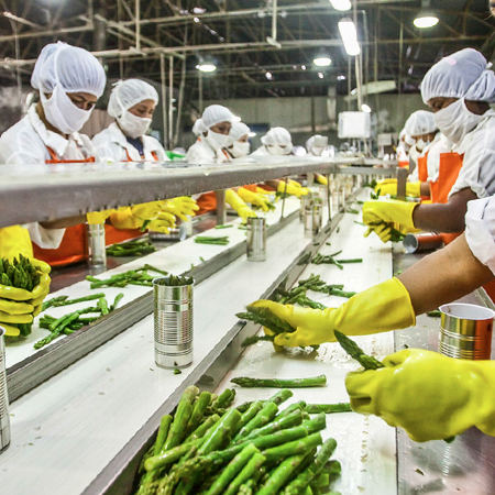 Processing Lines