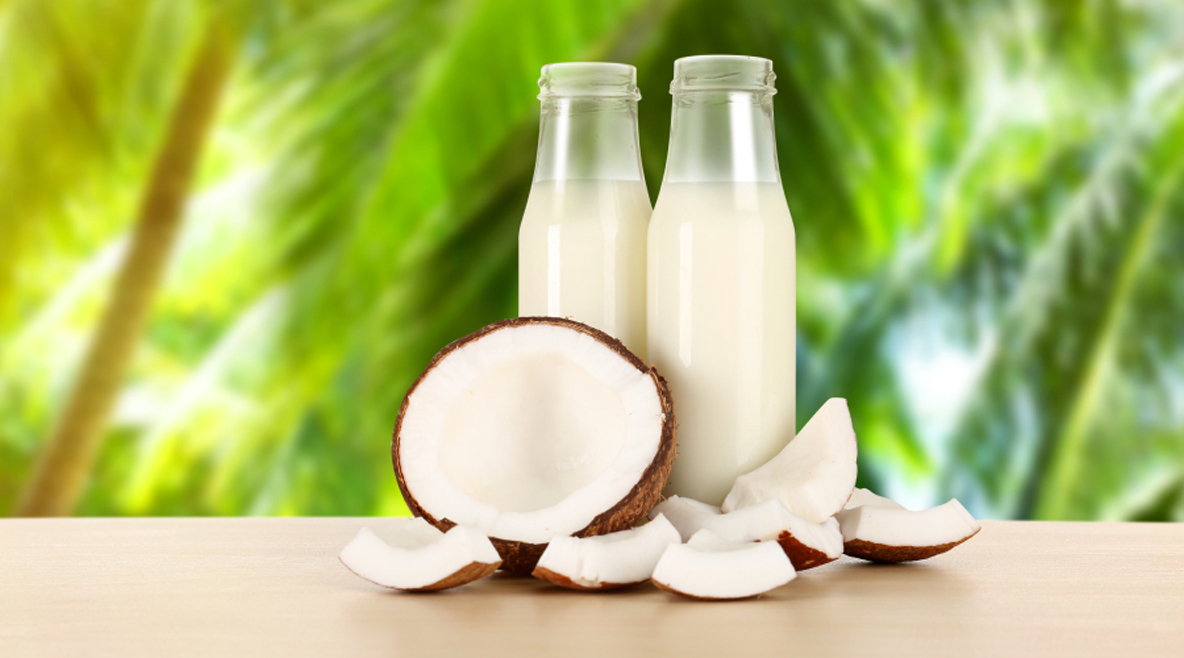 Coconut Processing Line
