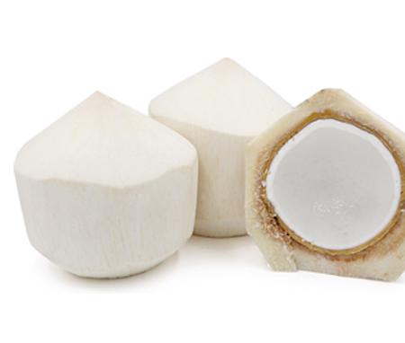 Coconut Processing Line