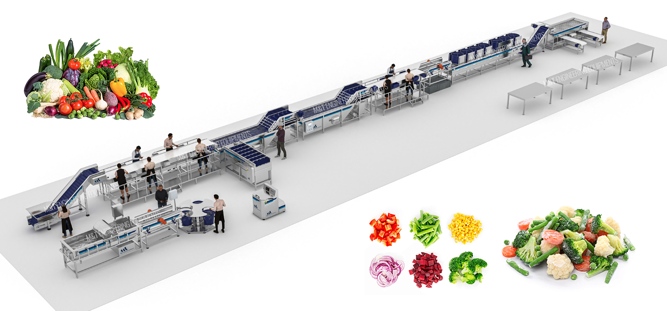 Cut Vegetable Processing Line