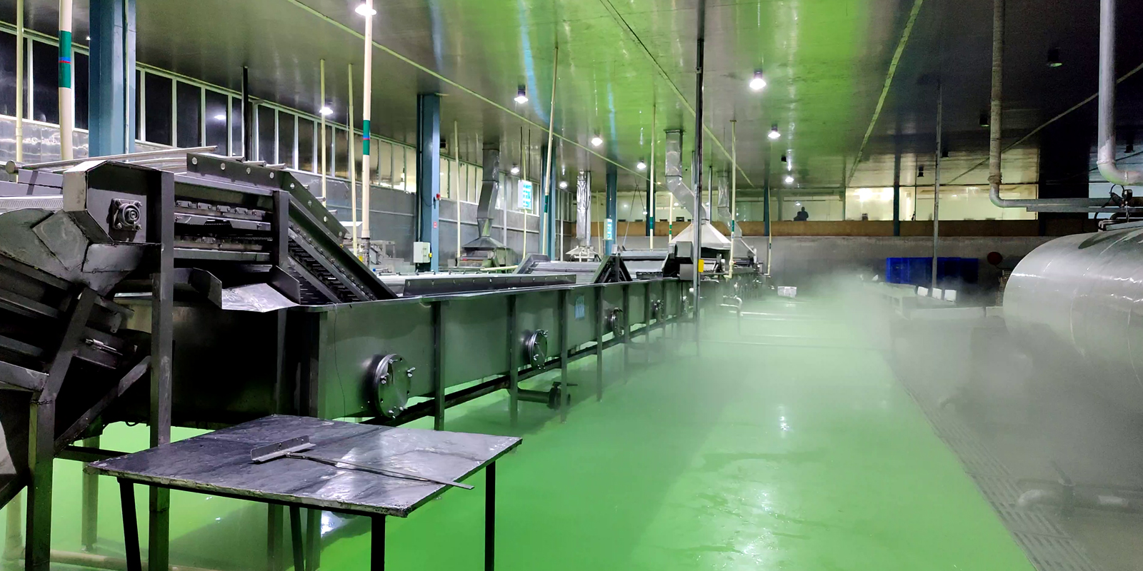 Green Peas Processing Line