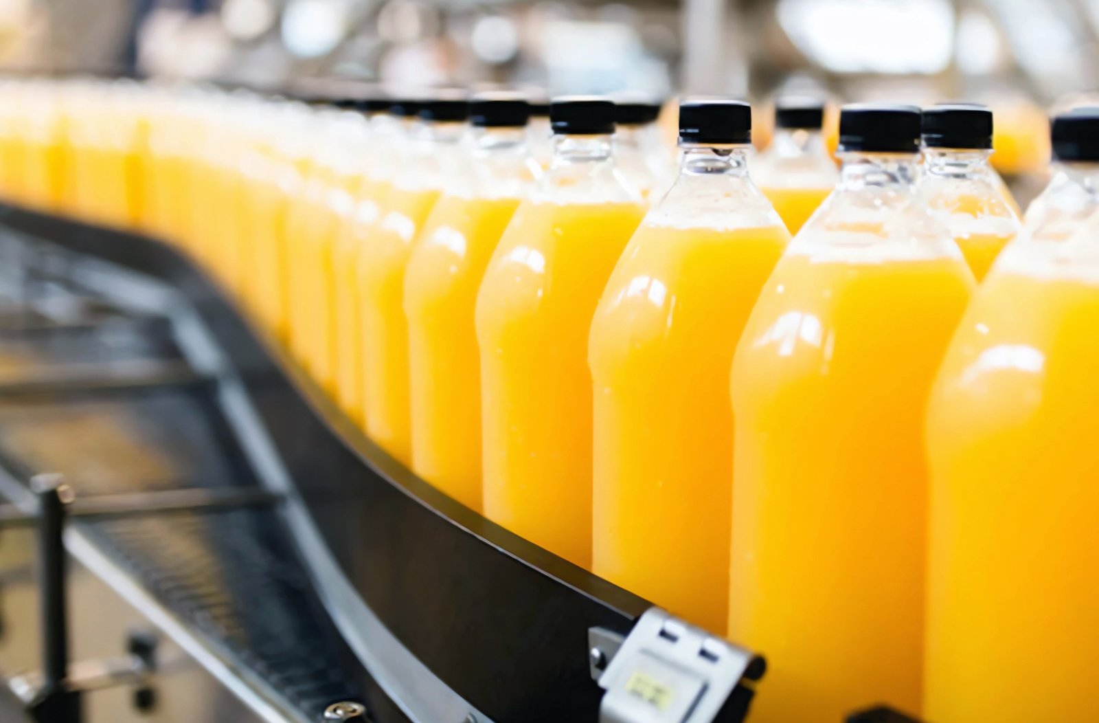 Mango/Fruit Juice Processing Line