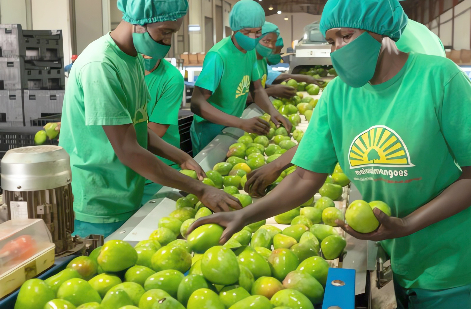 Mango Pulp Processing Line