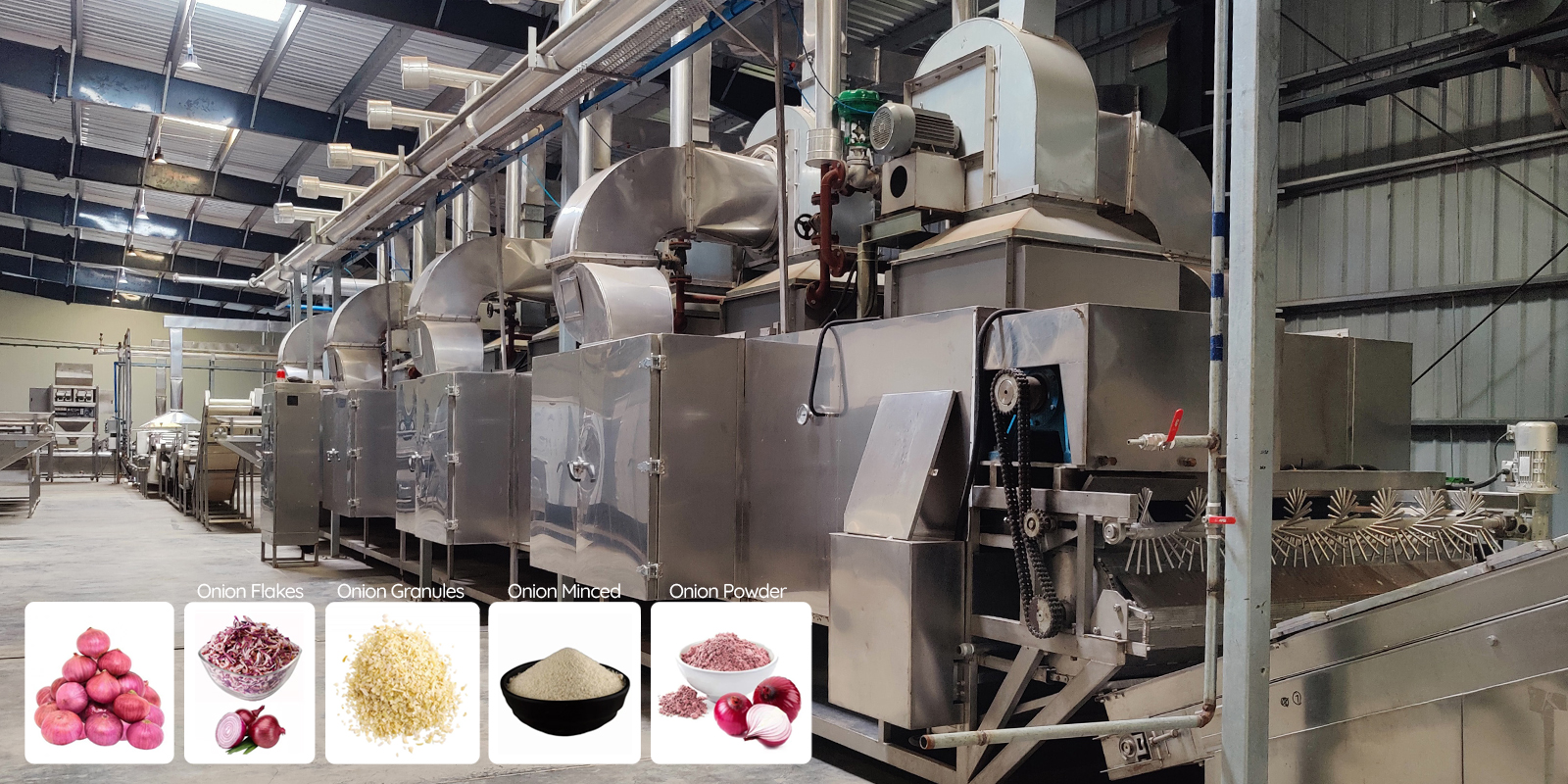 Onion Dehydration Line Onion Dehydration Line