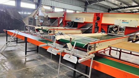 Onion Dehydration Line