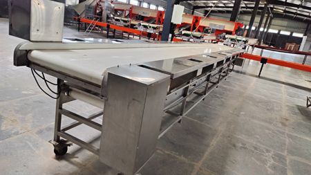 Onion Dehydration Line