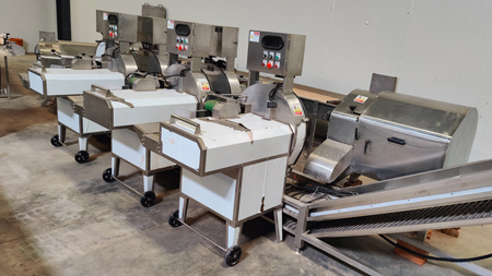 Onion Dehydration Line