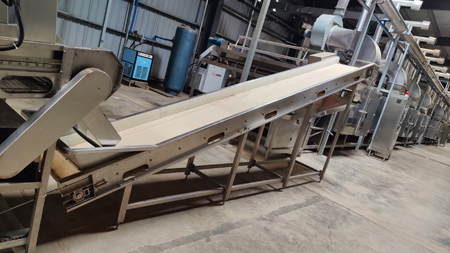 Onion Dehydration Line