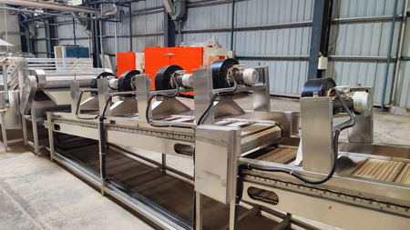 Onion Dehydration Line