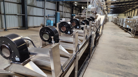 Onion Dehydration Line