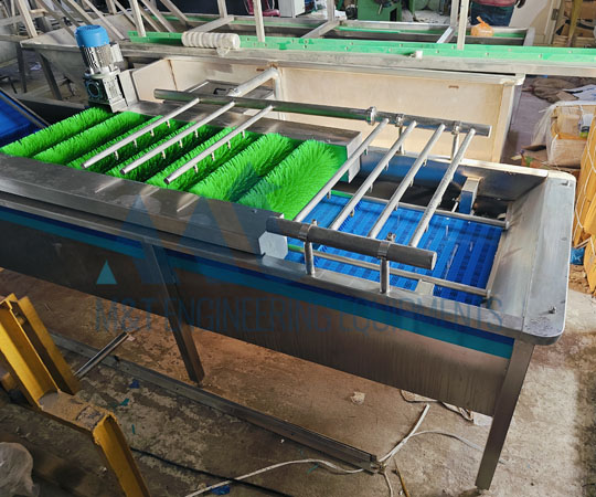 Orange Processing Line
