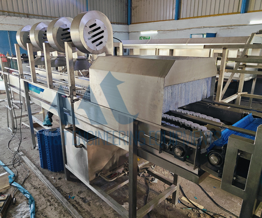 Orange Processing Line