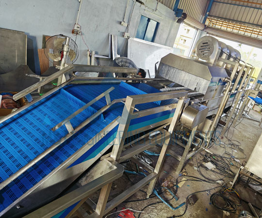 Orange Processing Line
