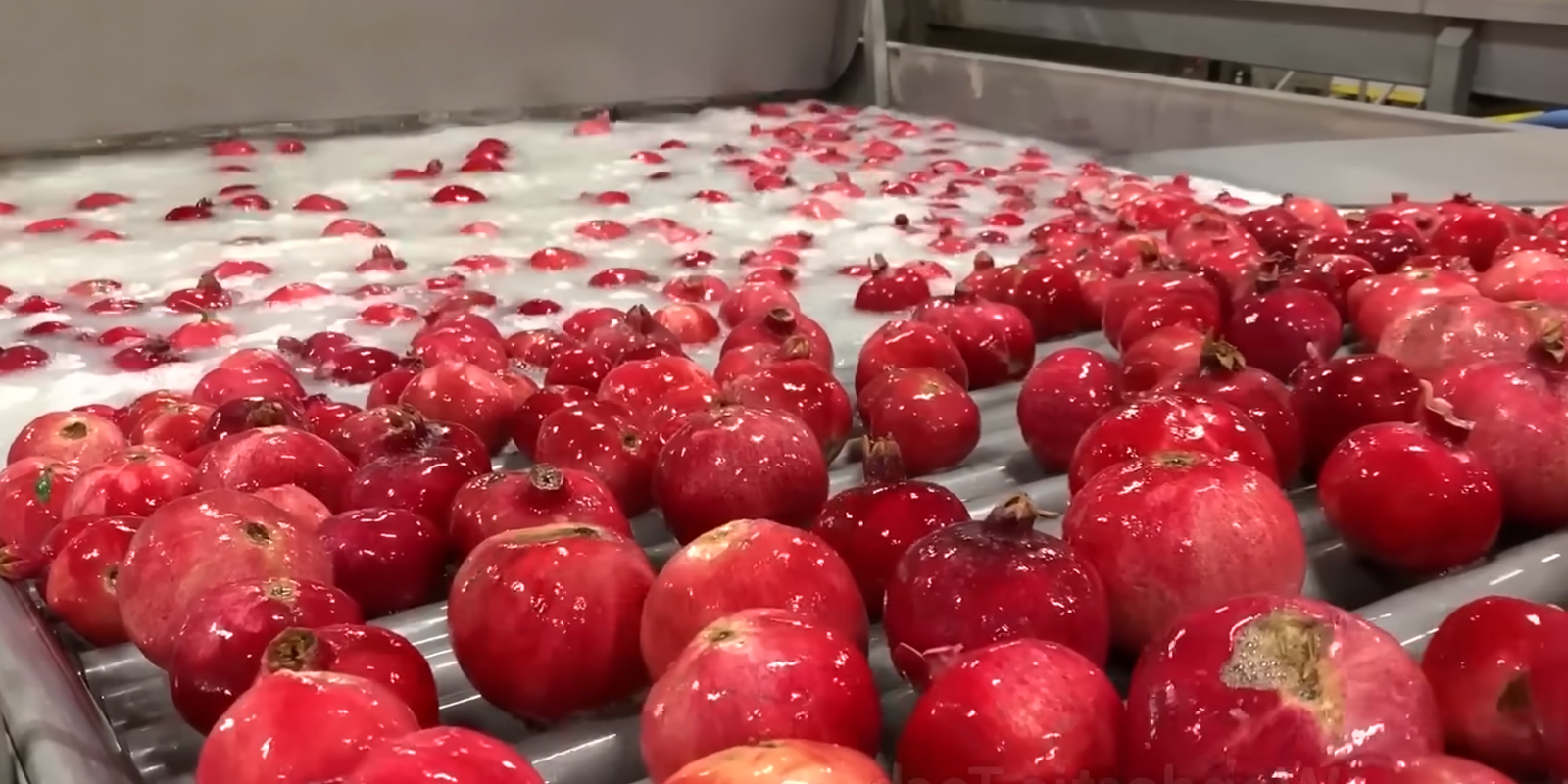 Pomegranate Processing Line