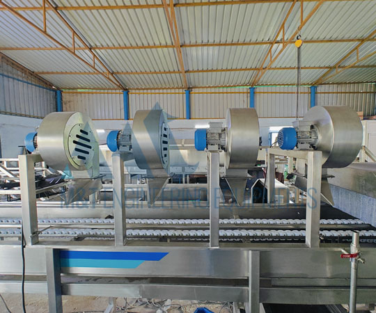 Pomegranate Processing Line