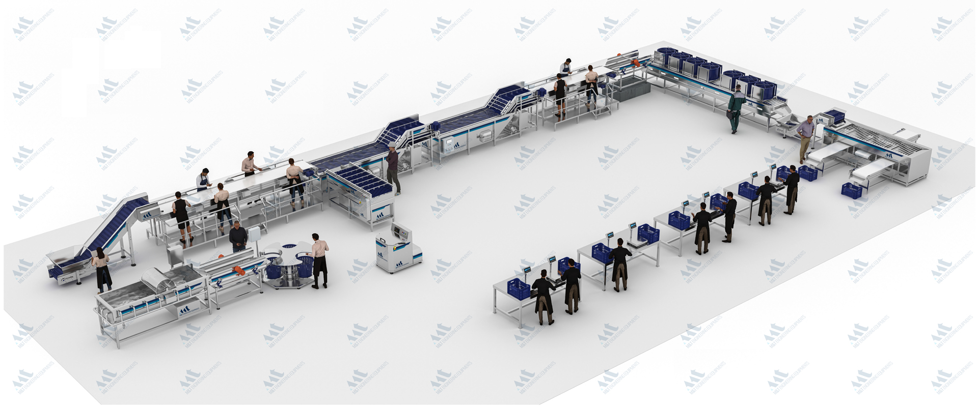 Fruits & Vegetables Processing Line